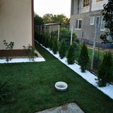 My Garden - Amenajari gradini